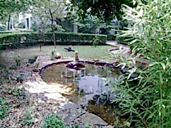 Biyolojik Göller ve Havuzlar