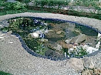 Biyolojik Göller ve Havuzlar