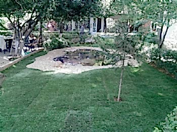 Biyolojik Göller ve Havuzlar