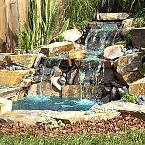 Biyolojik Göller ve Havuzlar