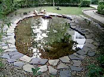 Biyolojik Göller ve Havuzlar