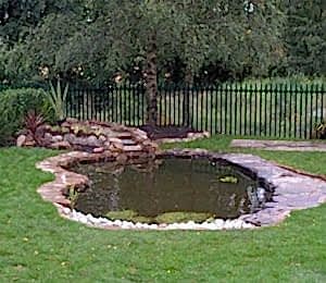 Biyolojik Göller ve Havuzlar