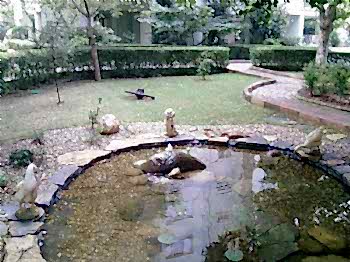 Biyolojik Göller ve Havuzlar