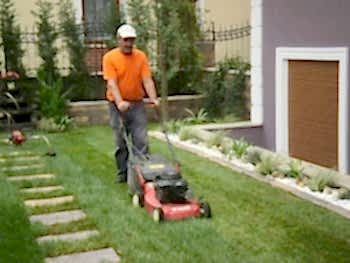 Bahçe Bakım Hizmeti