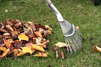 Bahçe Bakım Hizmeti