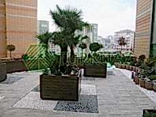 Sert Zemin Uygulamaları