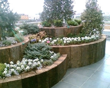 Peyzaj Tasarım Uygulamaları