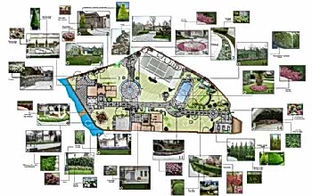 Peyzaj Tasarım Uygulamaları