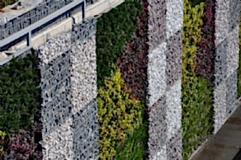 Peyzaj Tasarım Uygulamaları