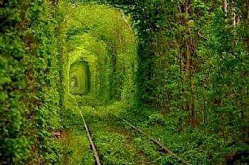 Peyzaj Tasarım Uygulamaları