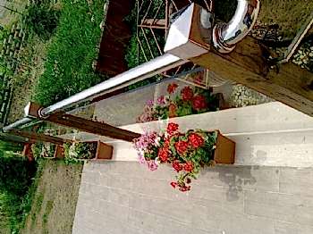 Peyzaj Tasarım Uygulamaları