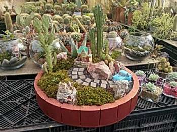 Peyzaj Tasarım Uygulamaları