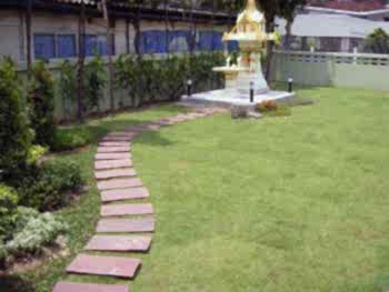 Peyzaj Tasarım Uygulamaları