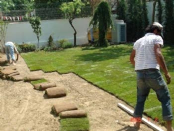 Hazır Rulo Çim Uygulama ve Bakım