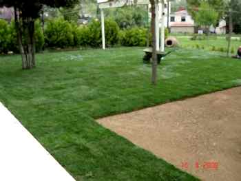 Hazır Rulo Çim Uygulama ve Bakım