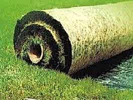 Hazır Rulo Çim Uygulama ve Bakım