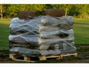 Hazır Rulo Çim Uygulama ve Bakım