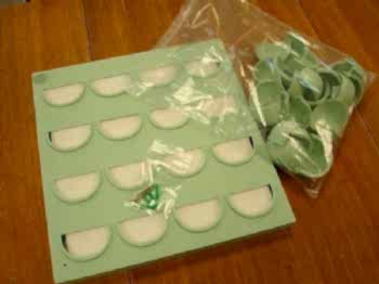 Dikey Bahçe & Yeşil Çatı