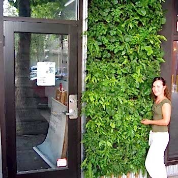 Dikey Bahçe & Yeşil Çatı