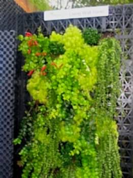 Dikey Bahçe & Yeşil Çatı