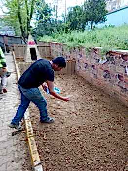 Küçükçekmece Ahmet Ermiş Anaokulu Yonca Tohumu